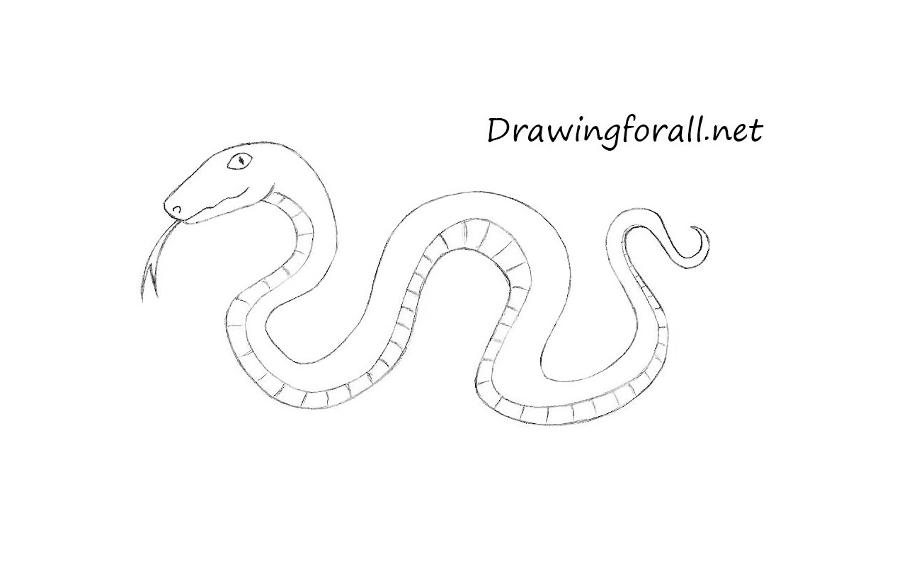 learn to draw snakes